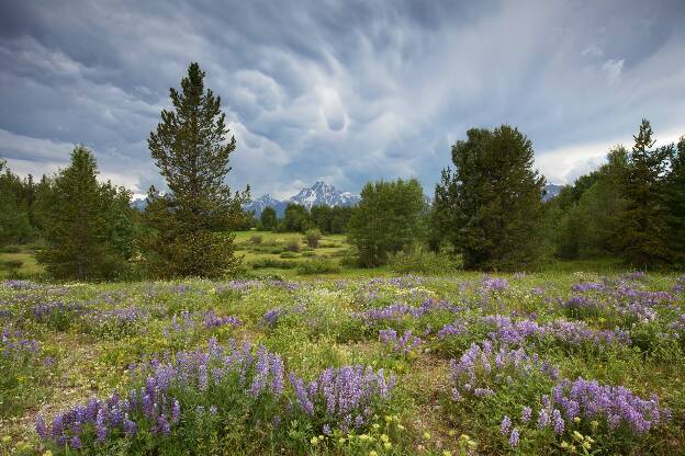 USA Rocky Mountains